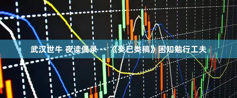 武汉世牛 夜读偶录 -- 《癸巳类稿》困知勉行工夫